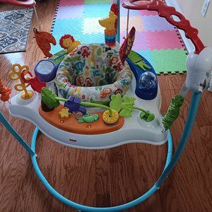 Fisher Price infant bouncer